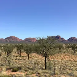 Kuniya Walk - Yulara