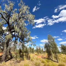 Uluru-Kata Tjuta Cultural Centre - Yulara
