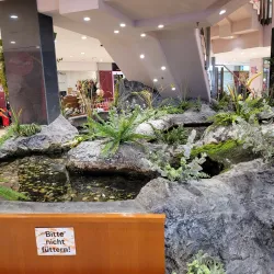 Amstetten City Park - Amstetten