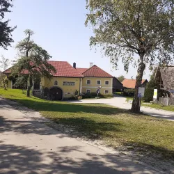 Museum Amstetten - Amstetten