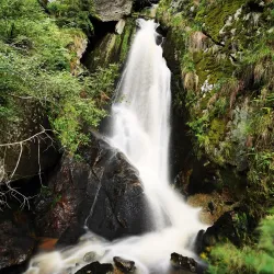 Waldviertel Hiking Trails - Amstetten