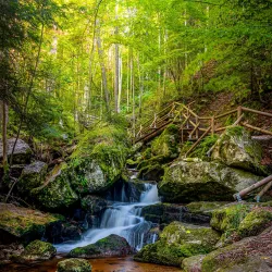Waldviertel Hiking Trails - Amstetten