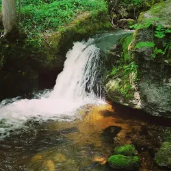 Waldviertel Hiking Trails - Amstetten