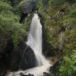 Waldviertel Hiking Trails - Amstetten