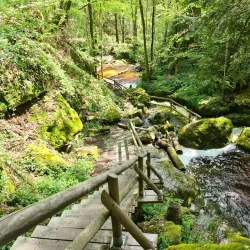 Waldviertel Hiking Trails - Amstetten