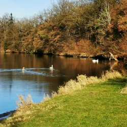 Ybbs River - Amstetten