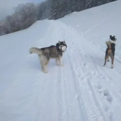 Ybbs River - Amstetten