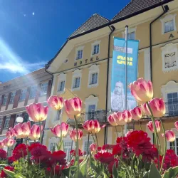 Salzkammergut Museum - Bad Ischl