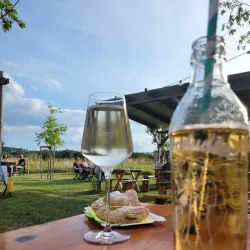 Heuriger Wine Taverns - Bad Vöslau