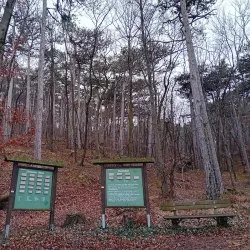 Kurpark Bad Vöslau - Bad Vöslau