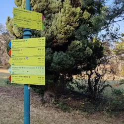 Kurpark Bad Vöslau - Bad Vöslau