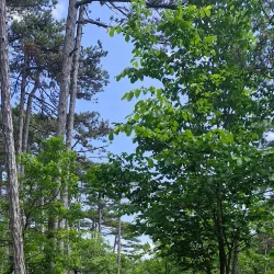 Kurpark Bad Vöslau - Bad Vöslau