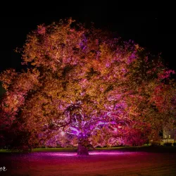 Vöslau Castle (Schloss Vöslau) - Bad Vöslau
