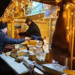 Vöslau Castle (Schloss Vöslau) - Bad Vöslau