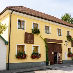 Vöslau Wine Region - Bad Vöslau