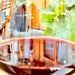 Vöslau Wine Region - Bad Vöslau