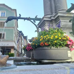 Bregenz Harbour - Bregenz