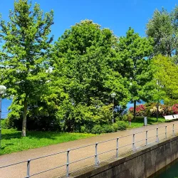Lake Constance Promenade - Bregenz