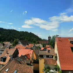 Martinsturm (Martin's Tower) - Bregenz