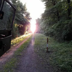 Bruckneudorf Town Square - Bruckneudorf