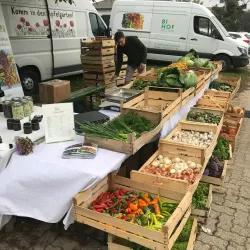 Local Farmers' Markets - Bruckneudorf