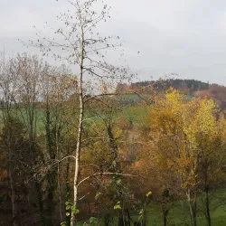 Achberg Castle - Dornbirn
