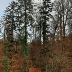 Achberg Castle - Dornbirn