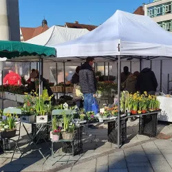 Dornbirn Market Square (Marktplatz) - Dornbirn