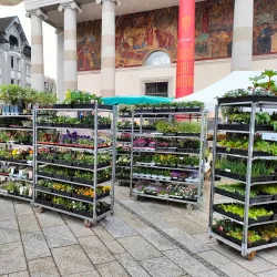 Dornbirn Market Square (Marktplatz) - Dornbirn