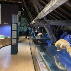 Inatura - Erlebnis Naturschau - Dornbirn