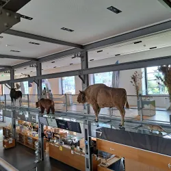 Inatura - Erlebnis Naturschau - Dornbirn