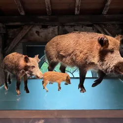 Inatura - Erlebnis Naturschau - Dornbirn