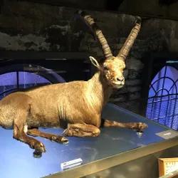 Inatura - Erlebnis Naturschau - Dornbirn