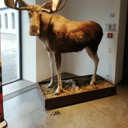 Inatura - Erlebnis Naturschau - Dornbirn