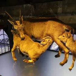 Inatura - Erlebnis Naturschau - Dornbirn