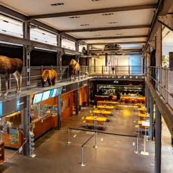 Inatura - Erlebnis Naturschau - Dornbirn