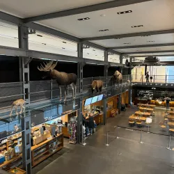 Inatura - Erlebnis Naturschau - Dornbirn