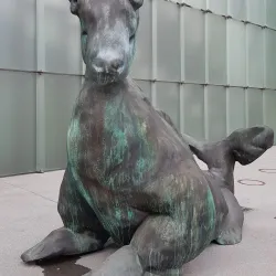 Kunsthaus Bregenz - Dornbirn