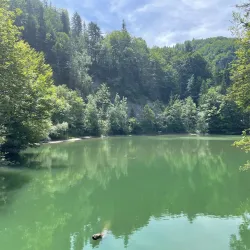 Rappenloch Gorge - Dornbirn