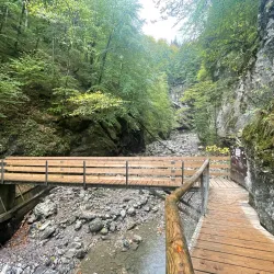 Rappenloch Gorge - Dornbirn