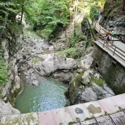 Rappenloch Gorge - Dornbirn