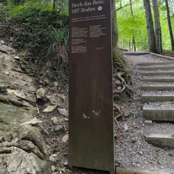 Rappenloch Gorge - Dornbirn