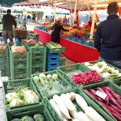 Stadtpark Dornbirn - Dornbirn