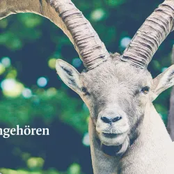 Rhine River Promenade - Feldkirch