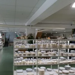 Gmundner Keramik - Gmunden