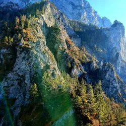 Kaltenbach Gorge (Kaltenbachklamm) - Gmunden