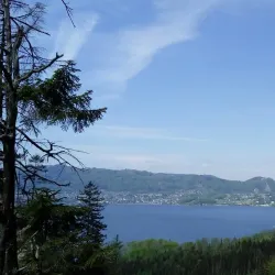 Kaltenbach Gorge (Kaltenbachklamm) - Gmunden