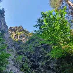 Kaltenbach Gorge (Kaltenbachklamm) - Gmunden