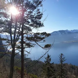 Kaltenbach Gorge (Kaltenbachklamm) - Gmunden