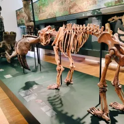 Joanneumsviertel - Graz